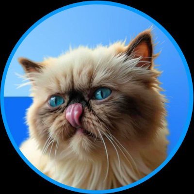 https://x.com/mrmigglesonbase