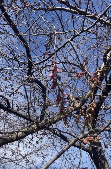 f61c4046-d13f-4f3f-8e82-ce69ad0f4906